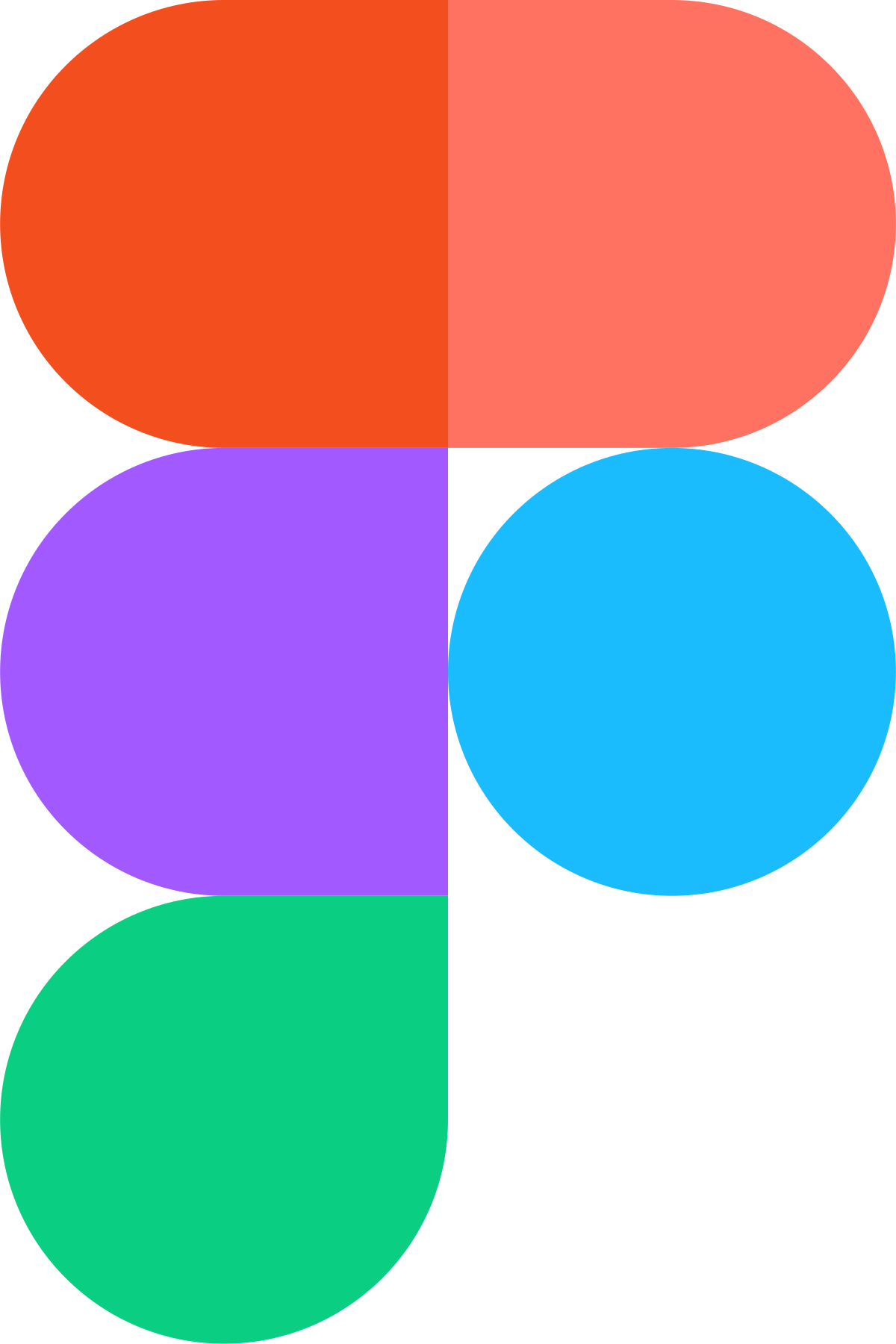 Software 4